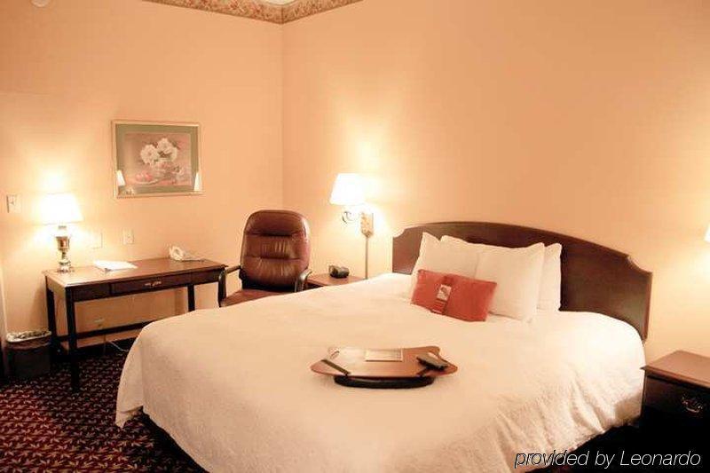 Hampton Inn Edenton Rum bild